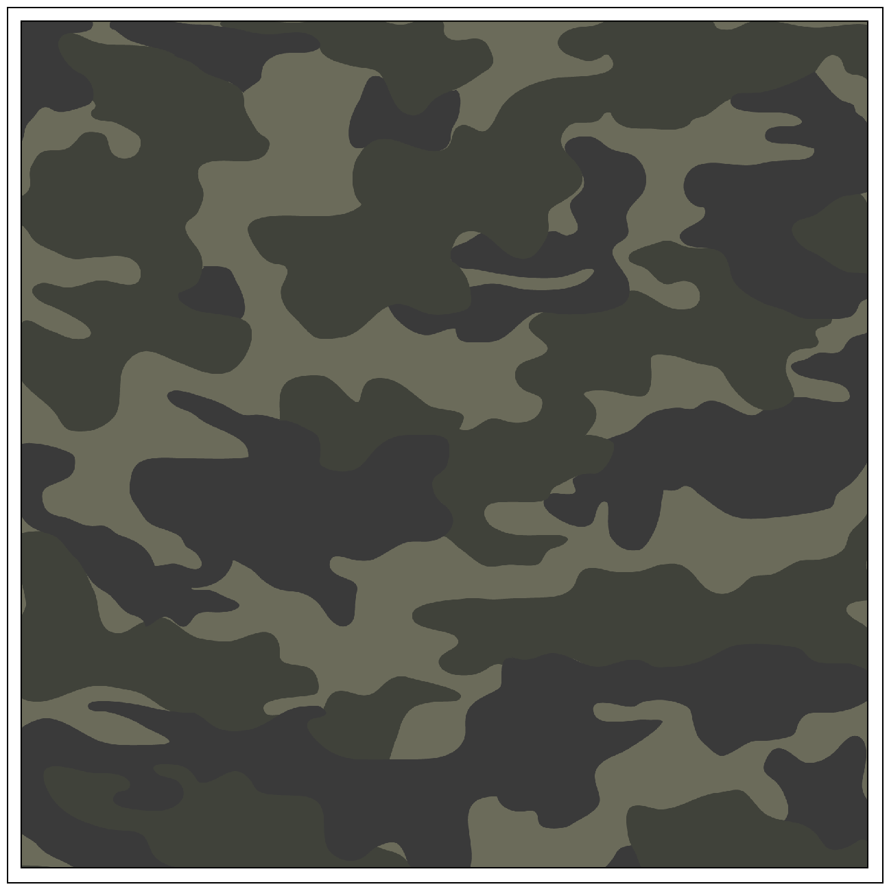 Zara Camo